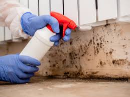  Germantown Hls, IL Mold Removal & Remediation Pros